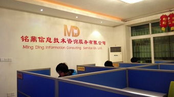 資陽銘鼎信息技術咨詢服務 賦能企業數字化轉型的專業伙伴